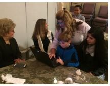 School Mates Brumby 2.JPG